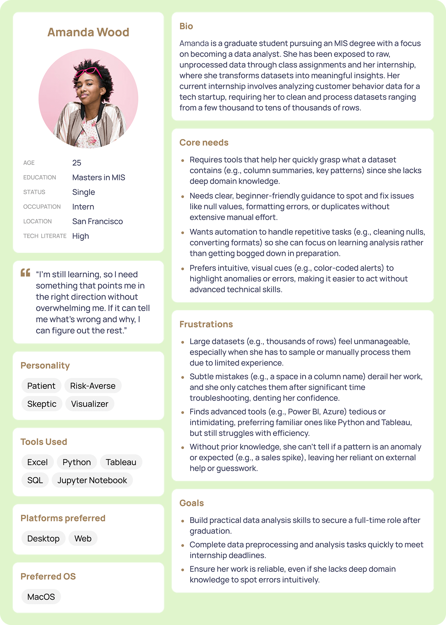 Experienced User Persona